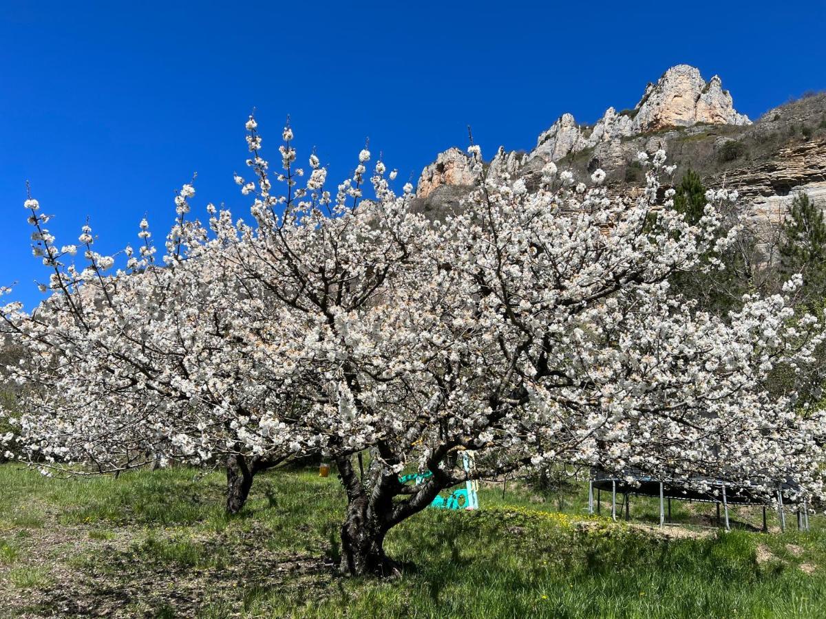 Gite Du Vallon Des Sources Millau Exterior foto